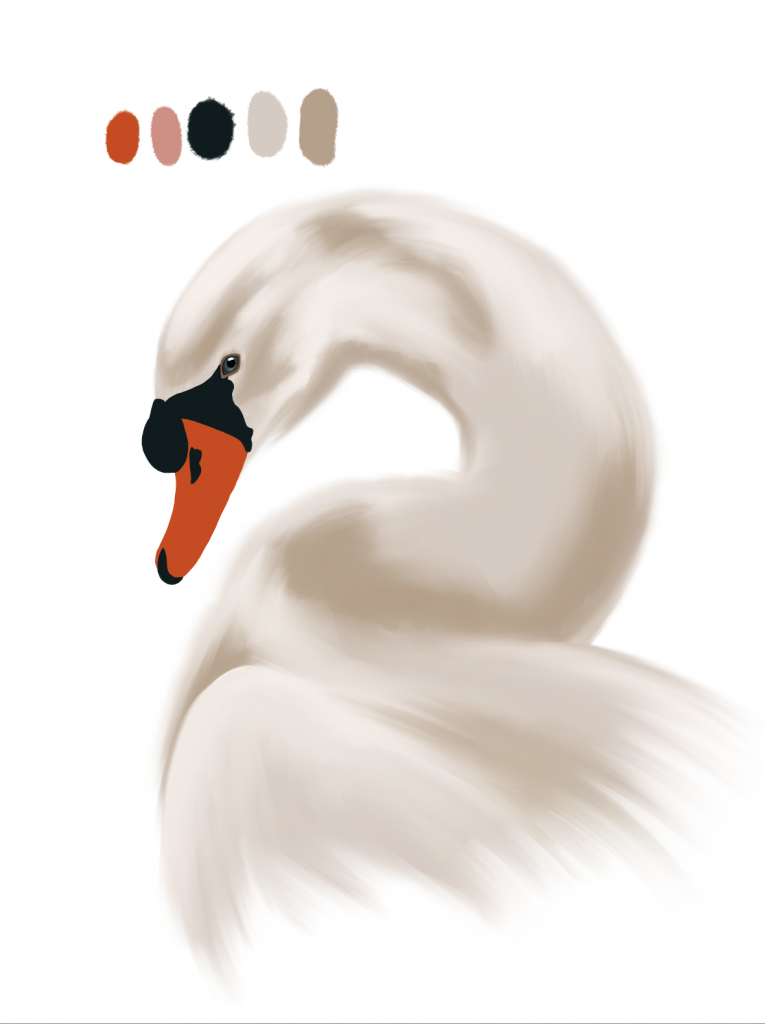 Advanced shading on an abstract bird