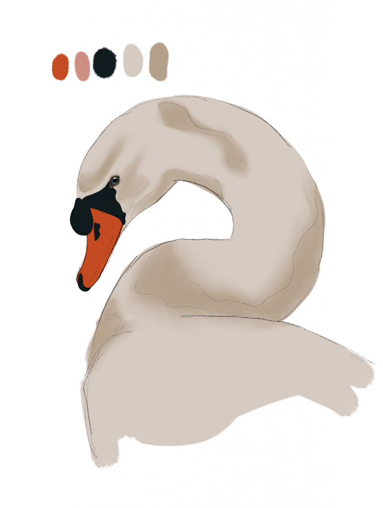 Shading a digital drawing