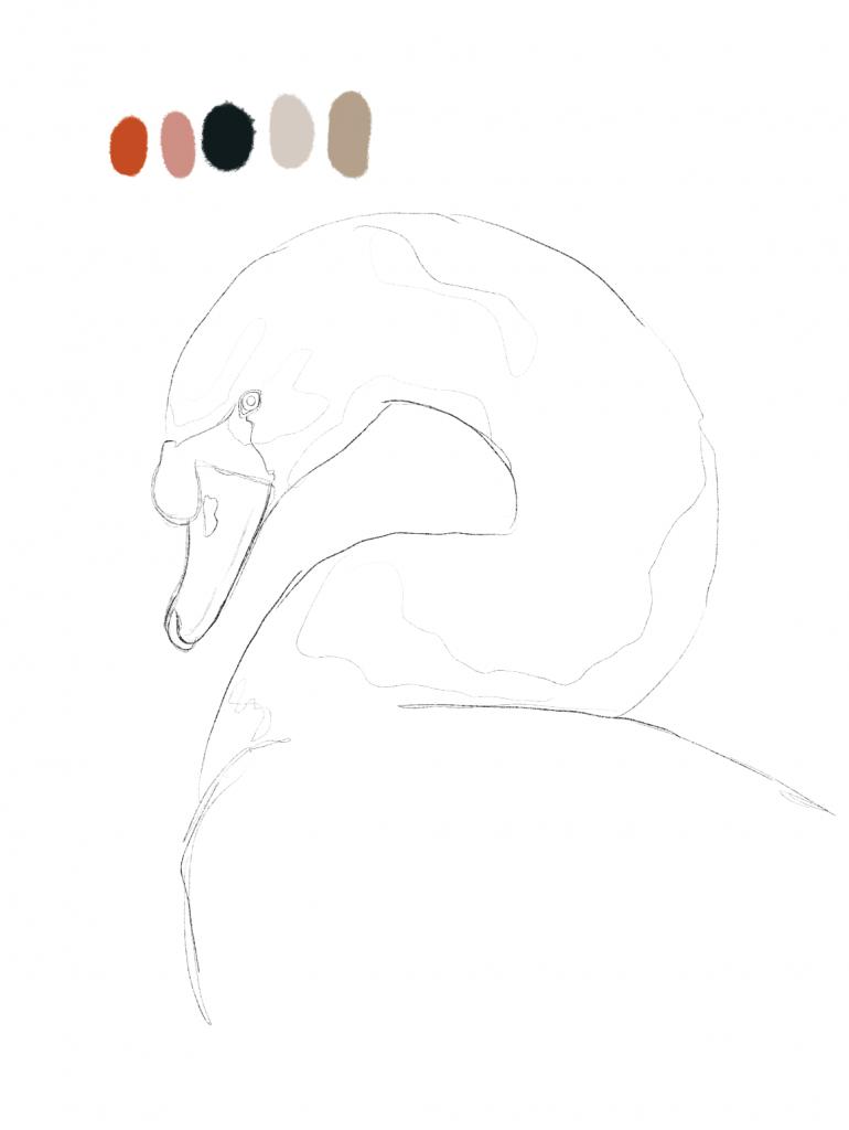 My process for drawing an abstract swan